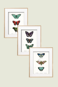 Free Vintage Butterfly Wall Art Printables : Heart's Content Farmhouse