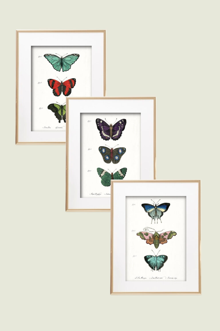 Free Vintage Butterfly Wall Art Printables : Heart's Content Farmhouse