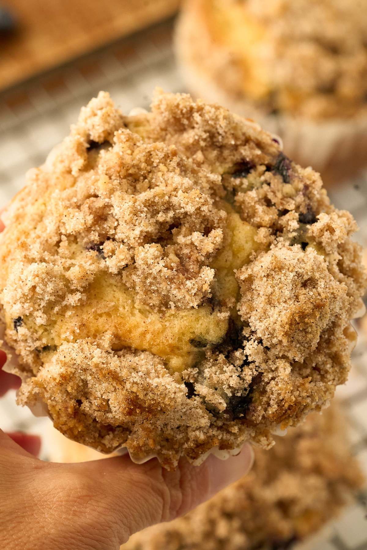 overhead view of giant muffin with cinnamon crumble topping.