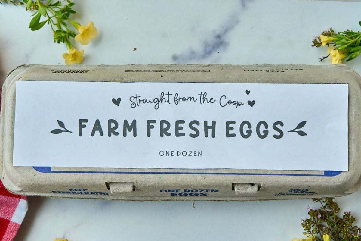 Free Printable Egg Carton Labels {Easy Download!}