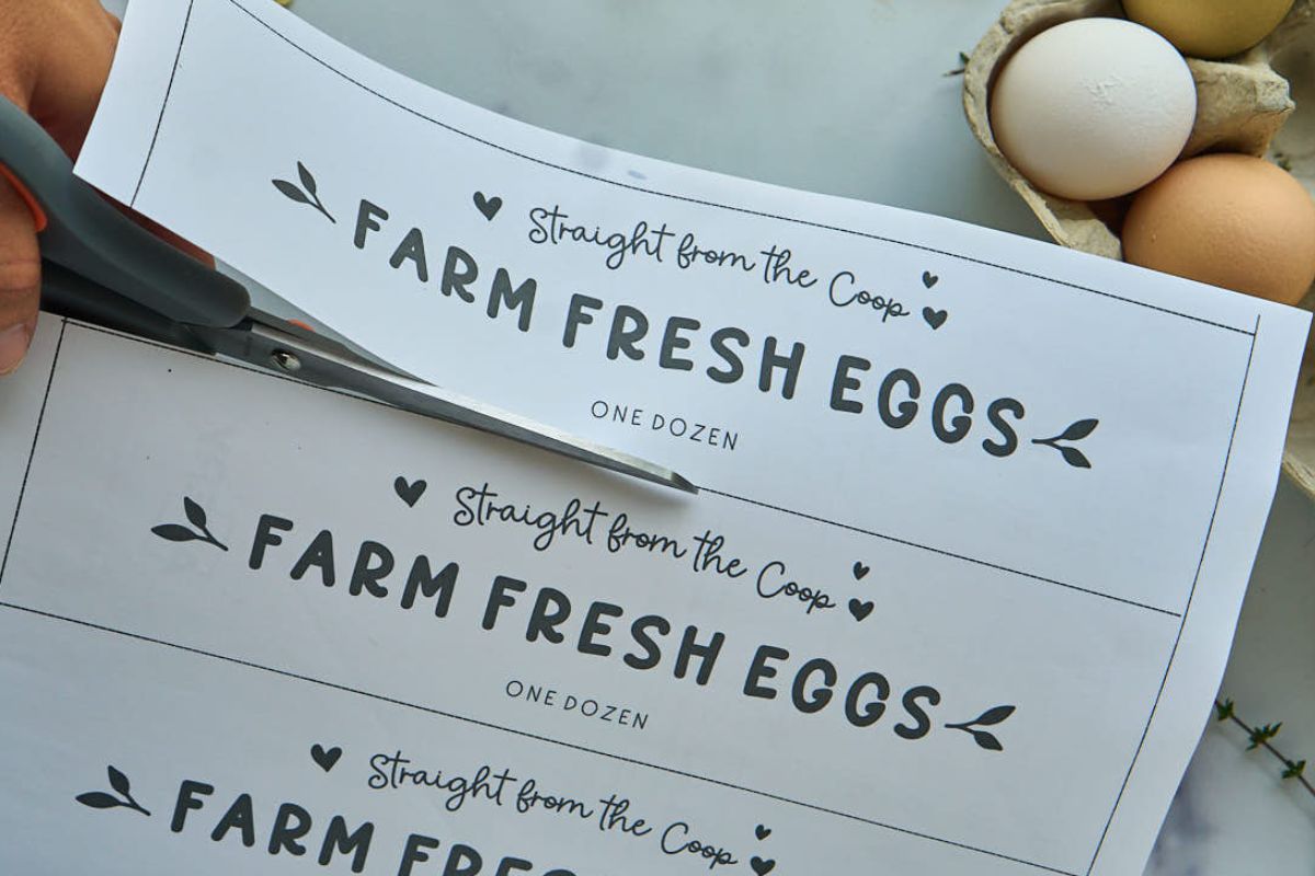 Free Printable Egg Carton Labels {Easy Download!}