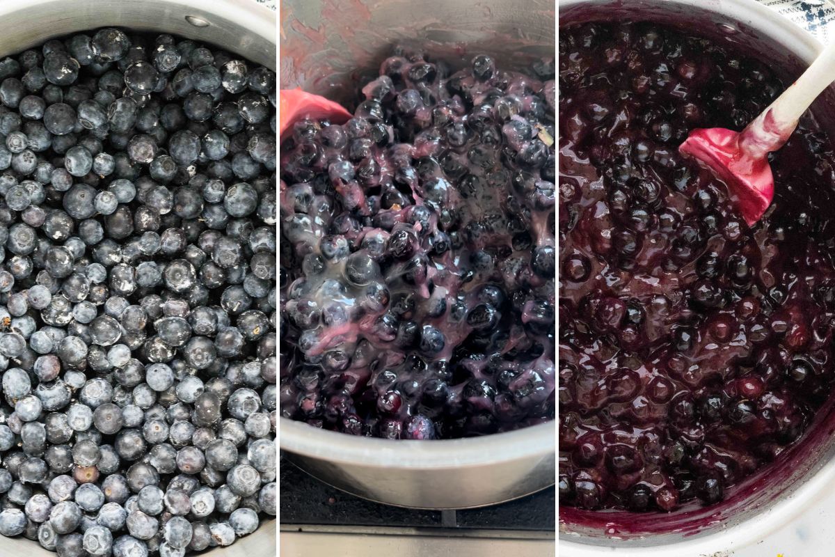 blueberries in pot.