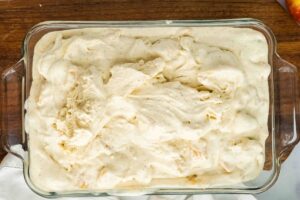 ice cream before freezing.