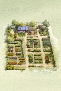Large Vegetable Garden Planning: Sample Layouts and Tips for Success