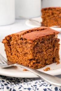 close up of square of gingerbread.
