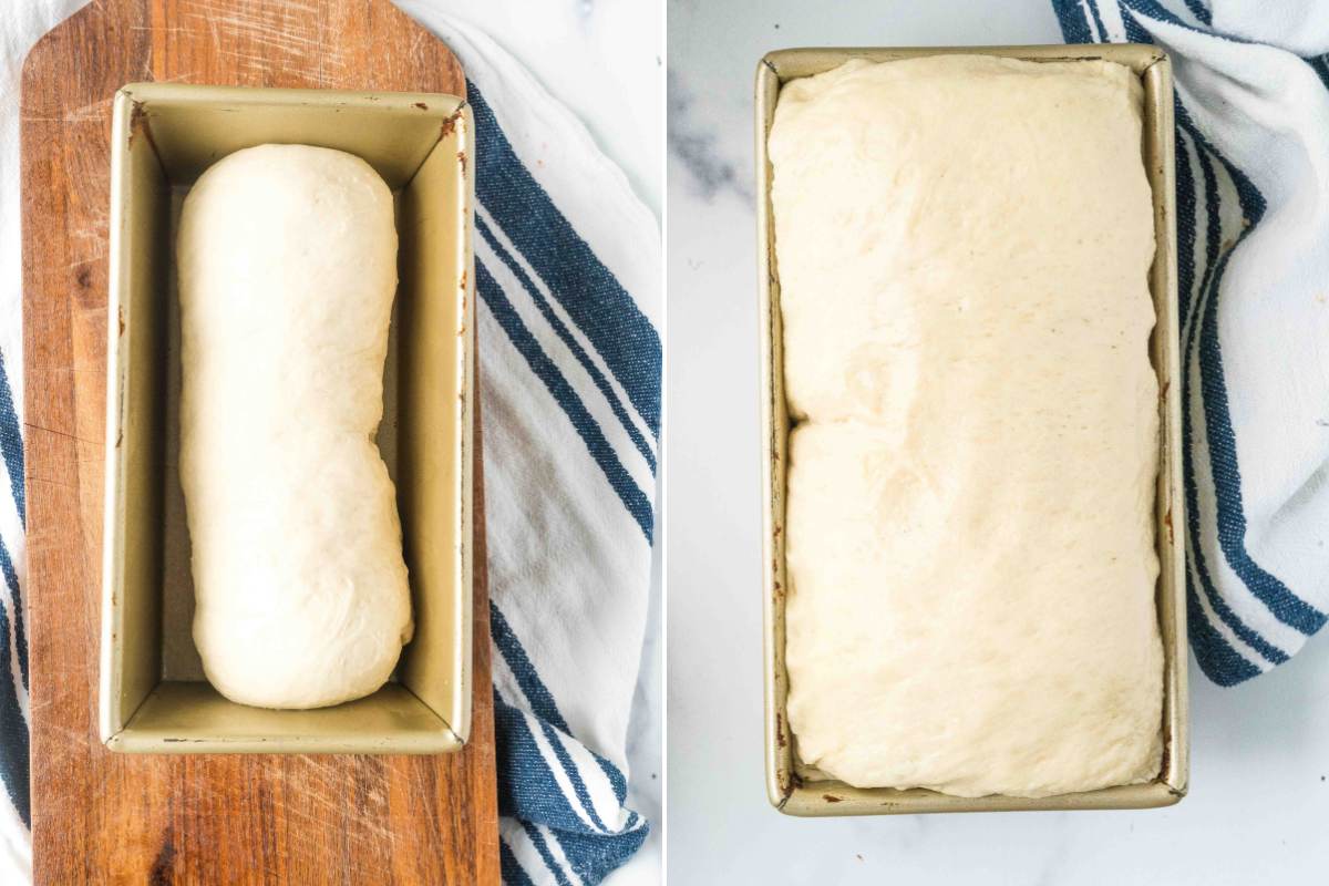 shaped bread dough before and after rising.