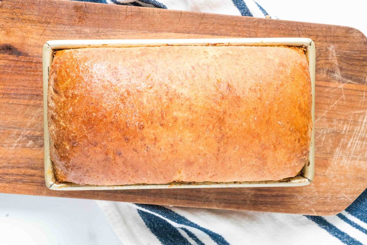 fully baked loaf of bread on counter.
