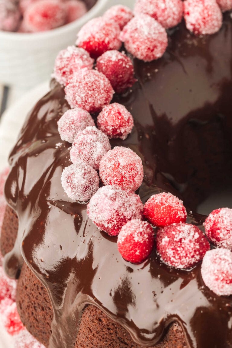 chocolate bundt cake with sugared cranberries on top.