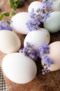 white eggs and purple wildflowers.