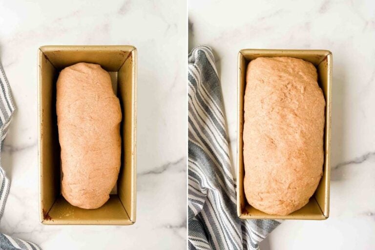 shaped loaf before and after rising.