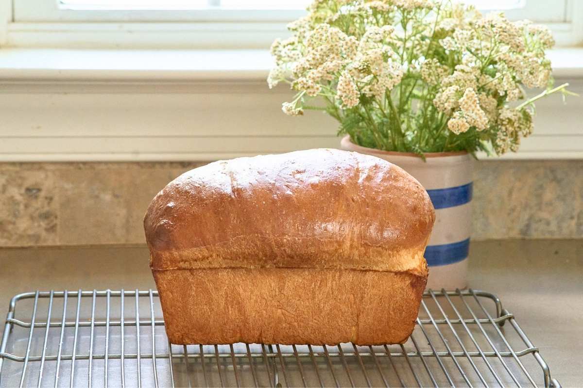 side view of whole loaf on cooling rack.