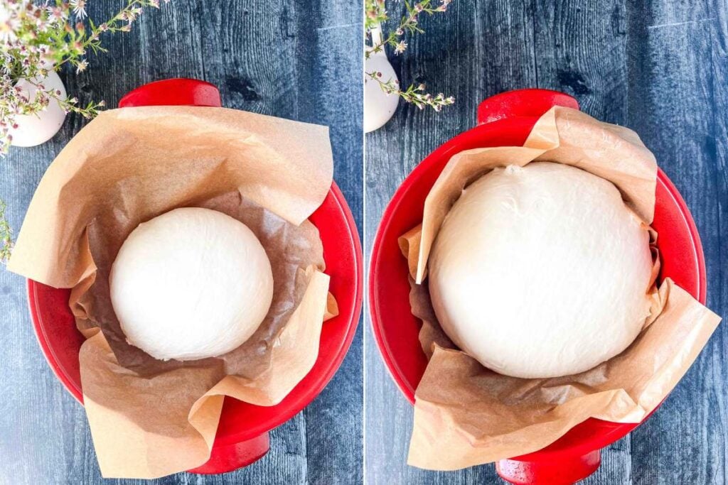 round dough in dutch oven before and after rising.