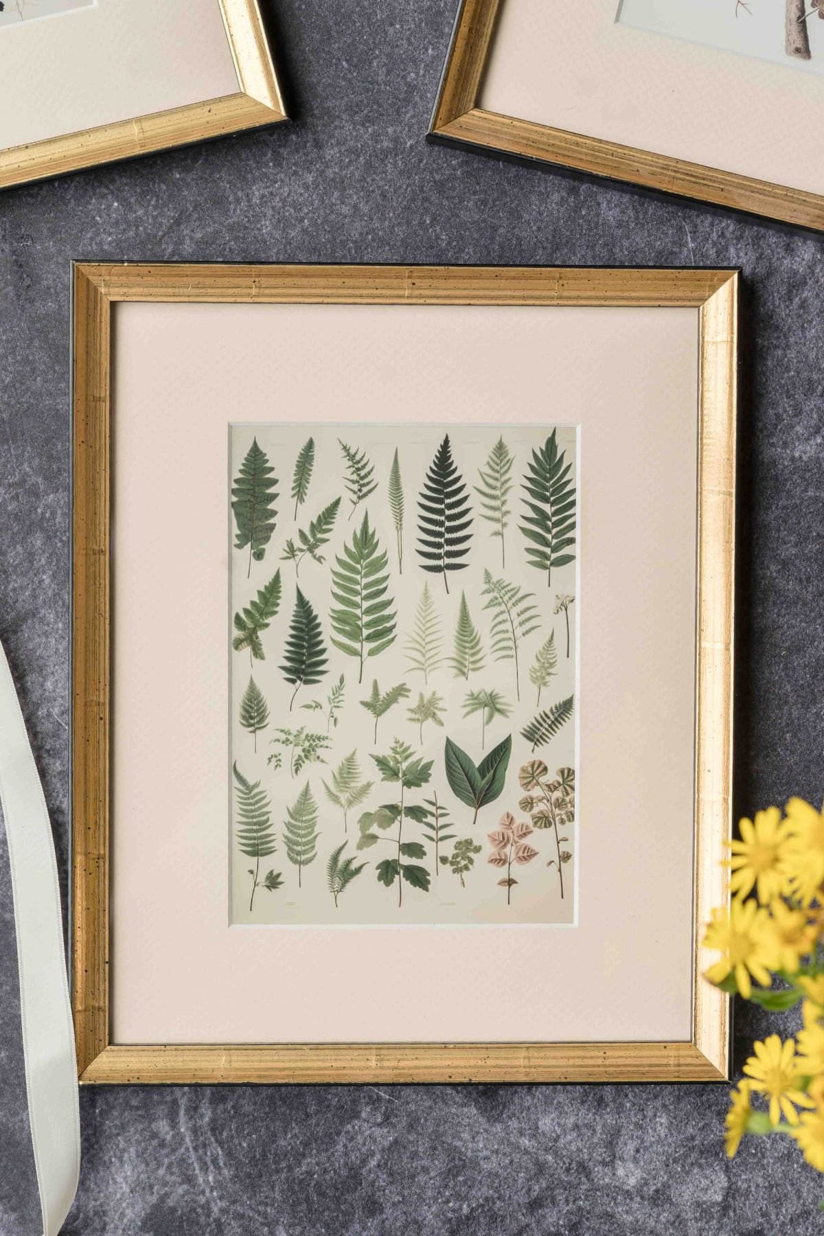 Vintage Botanical Printables Heart S Content Farmhouse