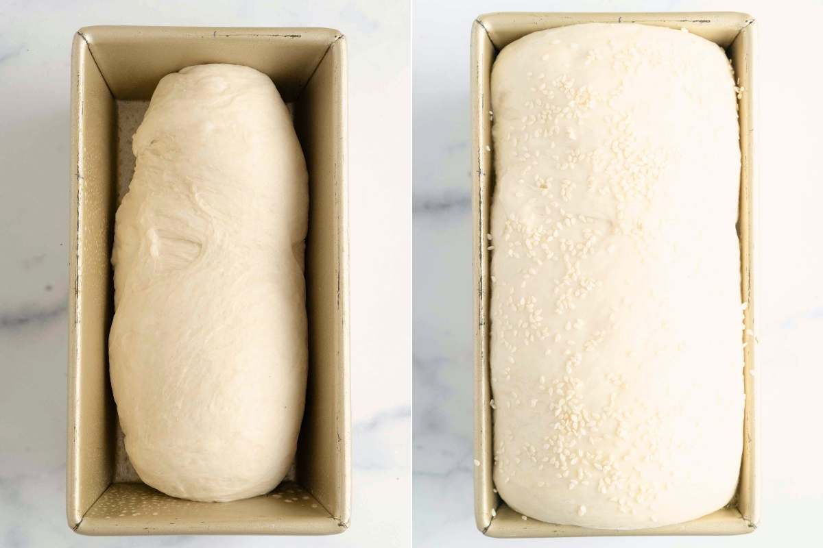 sandwich loaf before and after second rise.