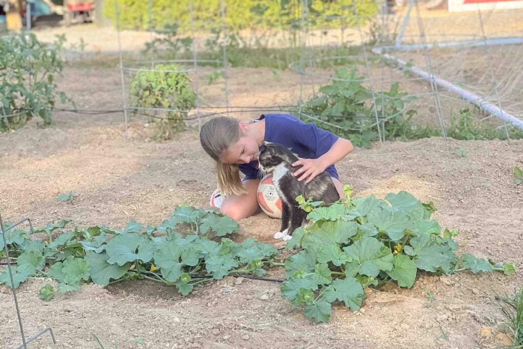 A young girl sits in a garden with a soccer ball, petting a cat near thriving melon plants.