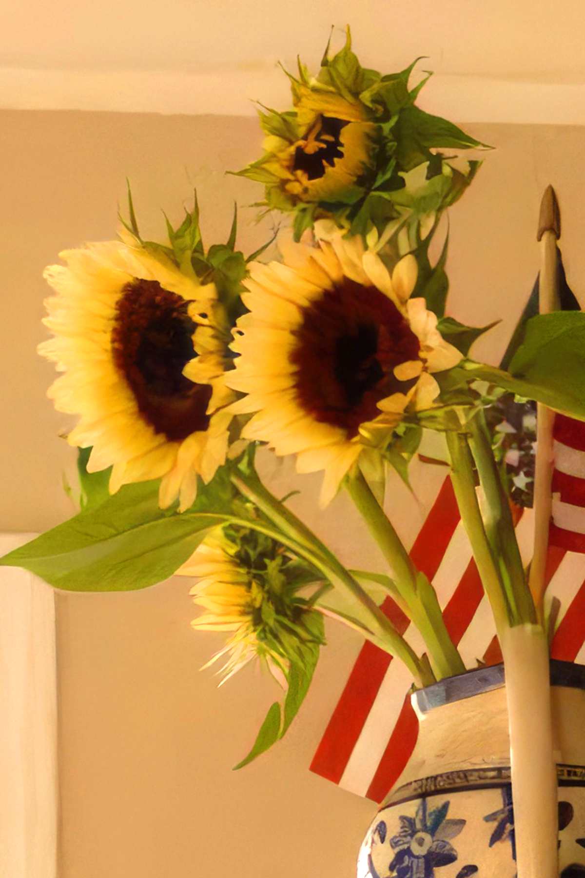 10 Best Sunflowers to Grow at Home {Easy + + Versatile)