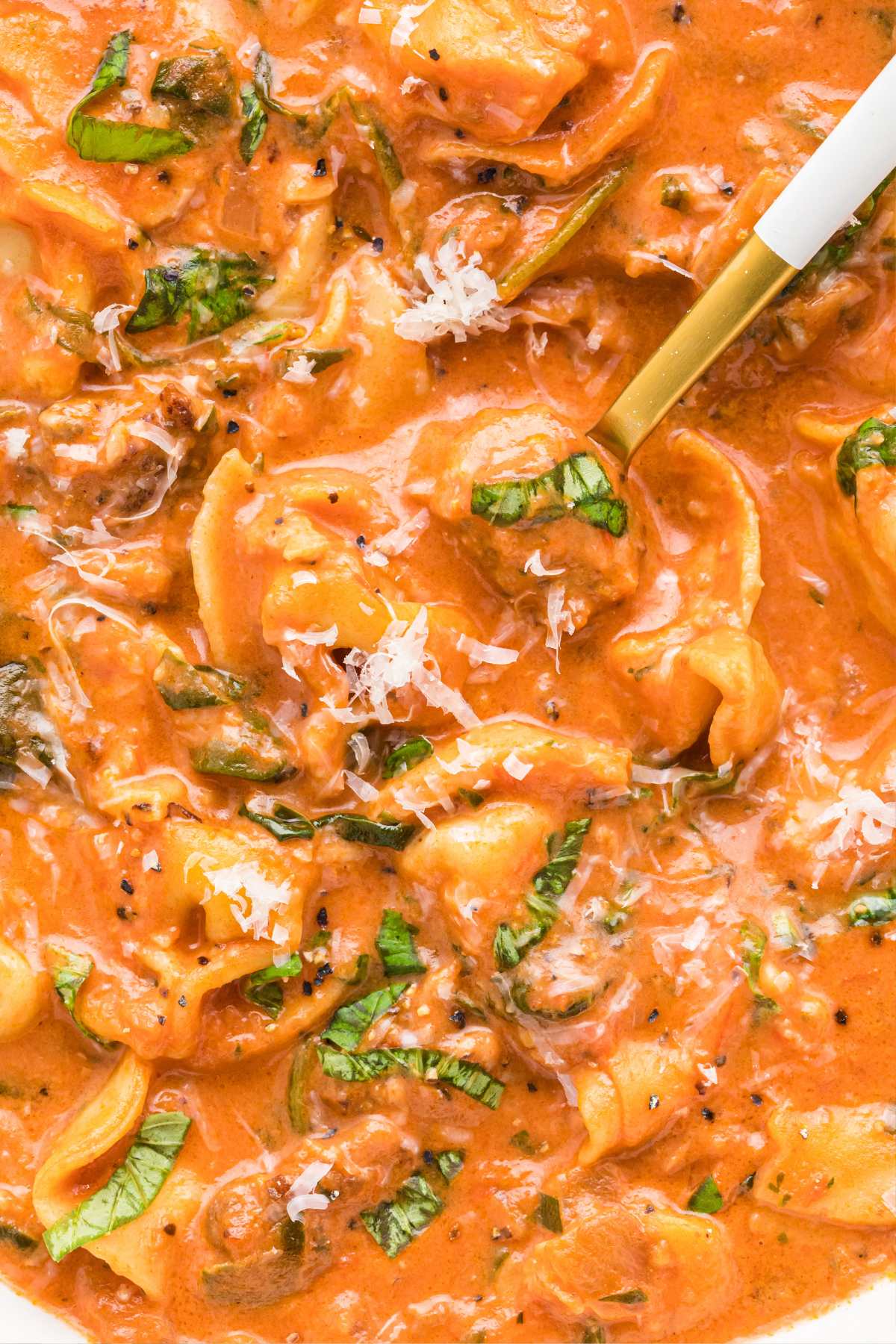 close up of creamy tortellini soup.