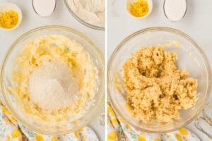 dry and wet ingredients mixed together.
