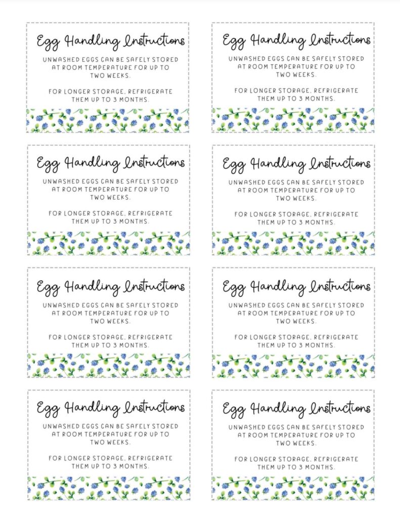Printable Egg Handling Instructions (Cute + Free)