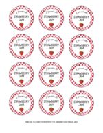 Simply Pretty Jam Jar Labels (Free Printable in 4 Styles)