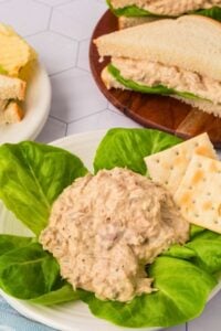 tuna salad on bed of lettuce with crackers and tuna salad sandwich in background.
