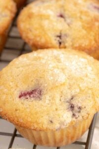 vertical image of blackberry sourdough muffins.