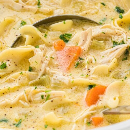 Creamy Chicken Noodle Soup