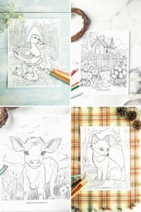 grid of four coloring pages.