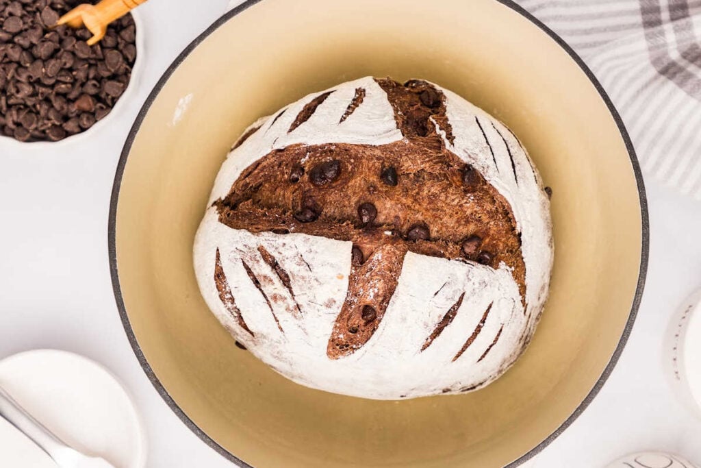 baked chocolate sourdough bread loaf in Dutch oven.