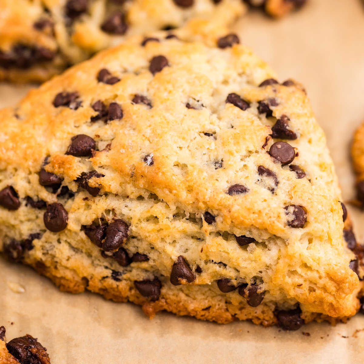 close up of chocolate chip sourdough scone on baking sheet.