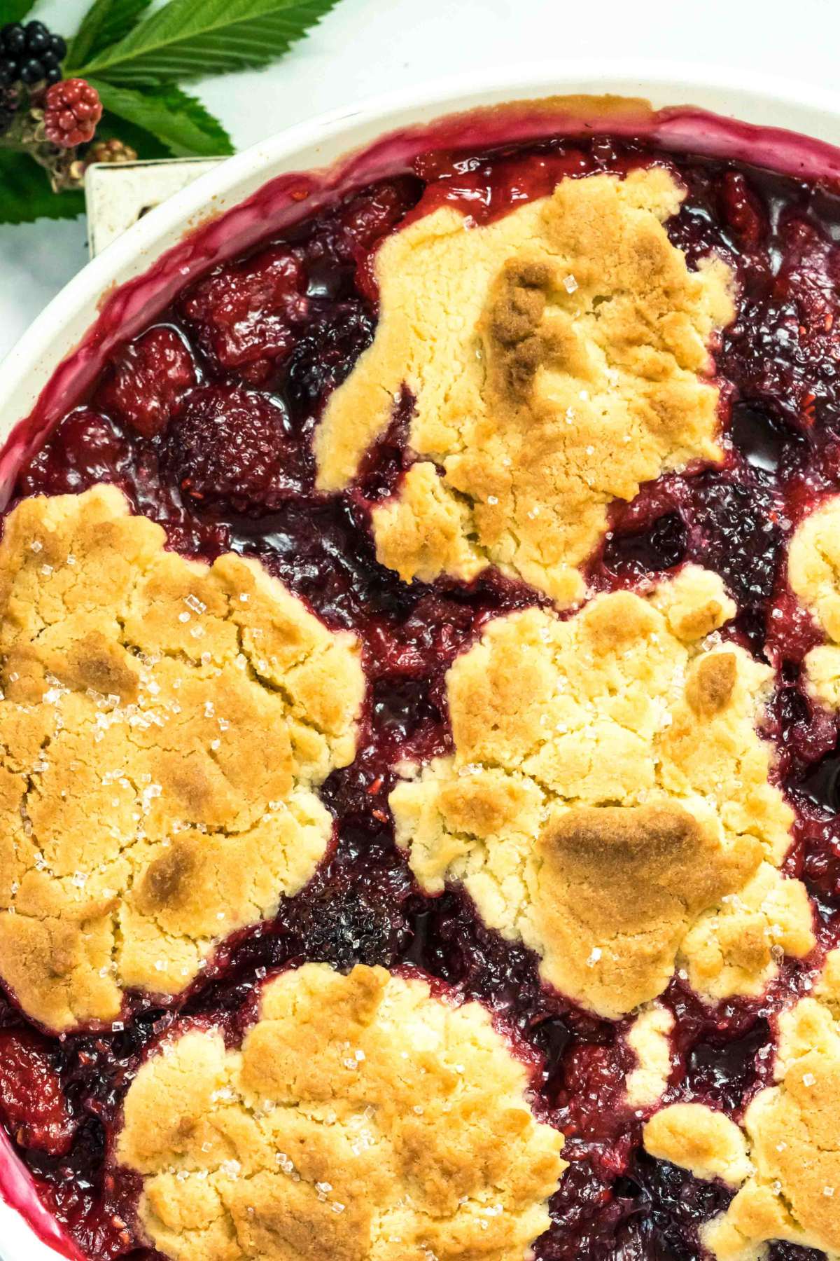 close up of berry cobbler with cookie topping.