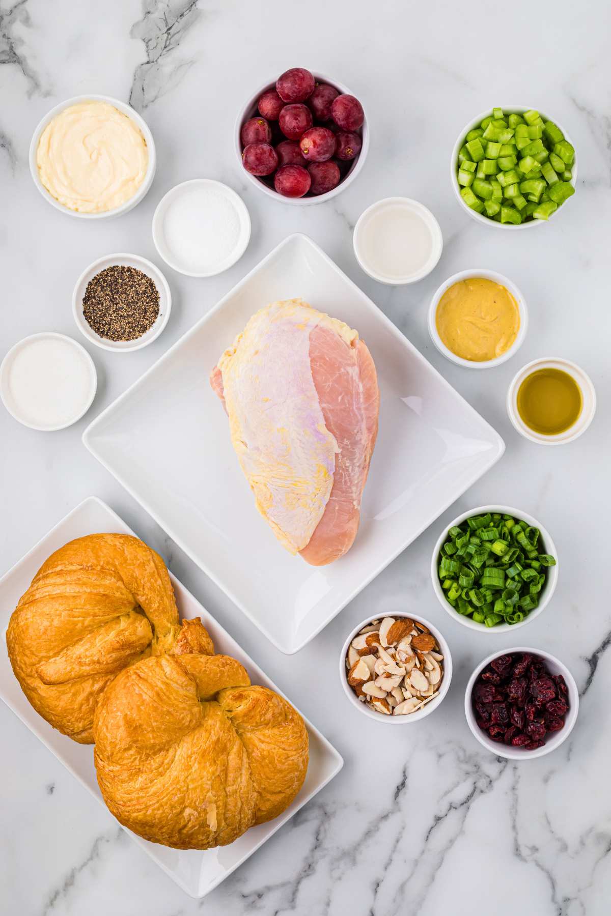 overhead shot of ingredients on counter.
