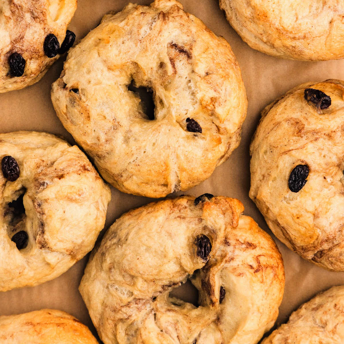 bagels with raisins overhead view.