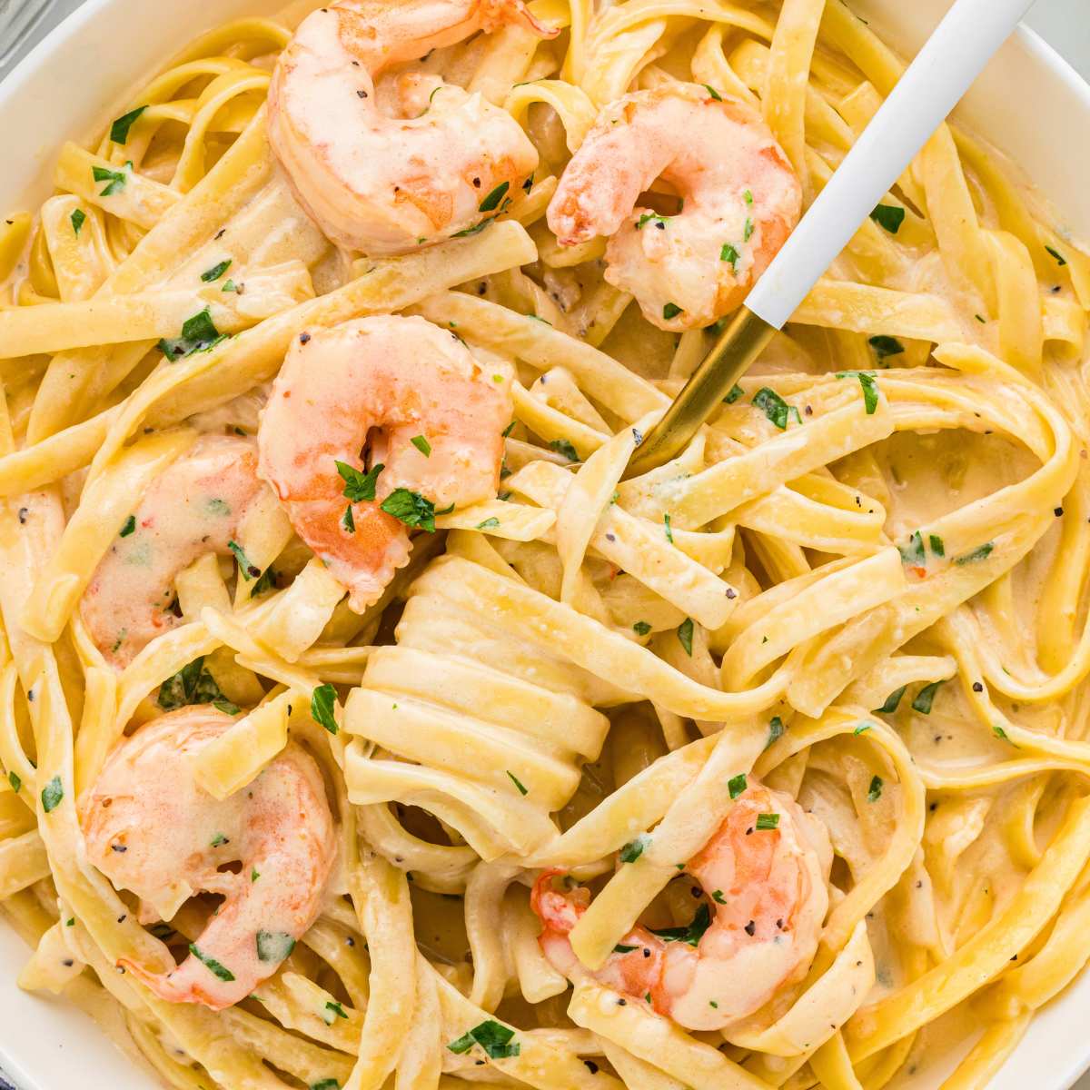 close up of shrimp alfredo pasta with fork twirled around noodles.