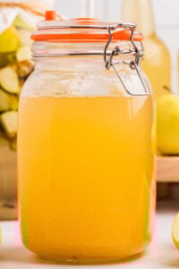 gallon jar of apple cider vinegar on counter.