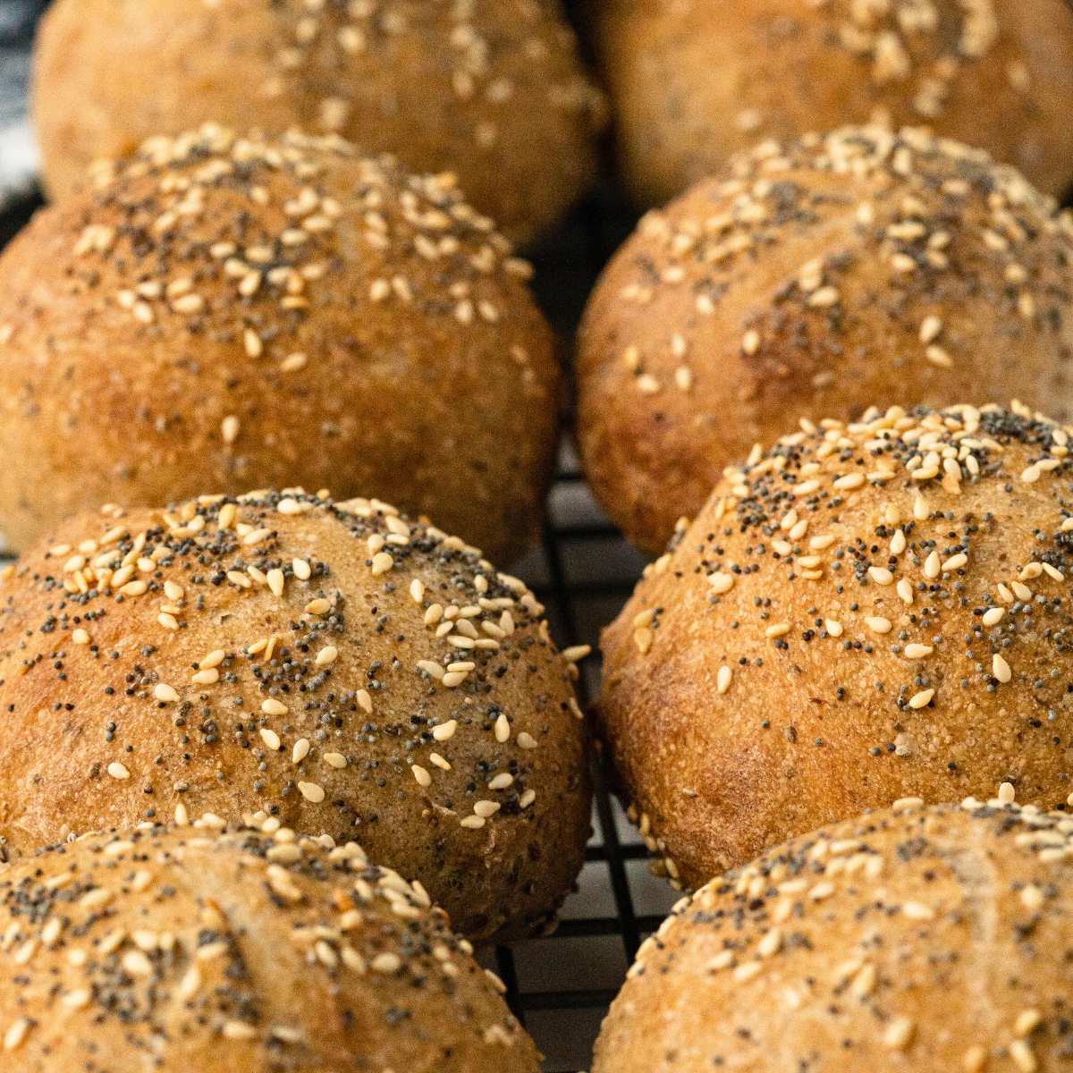 eight rolls topped with seeds.
