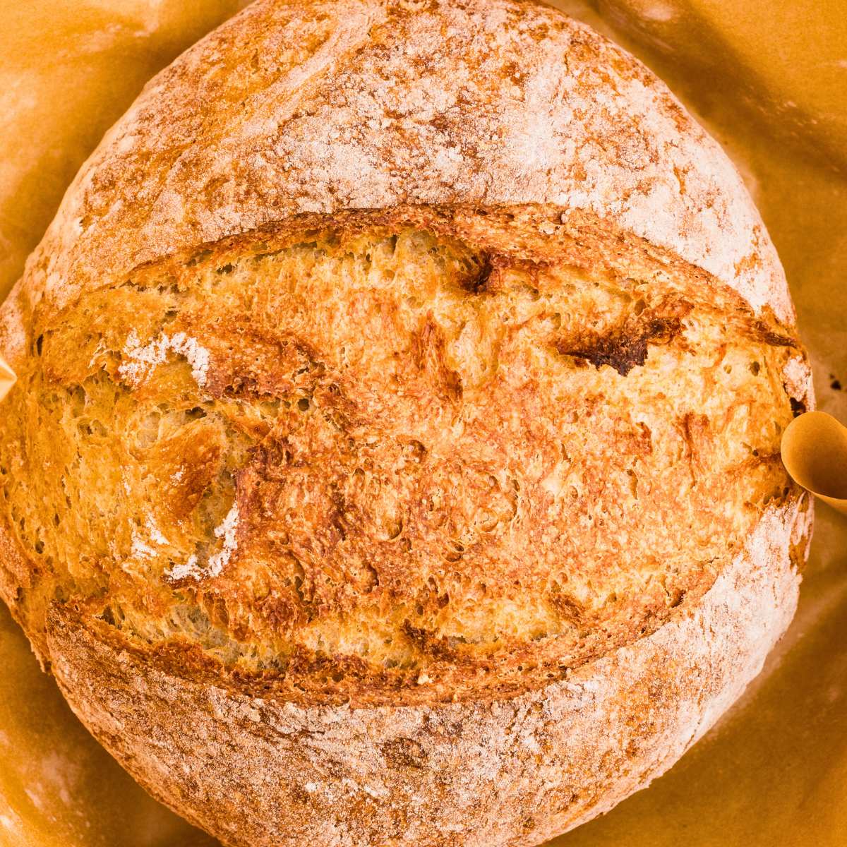 close up of round loaf of sourdough spelt.