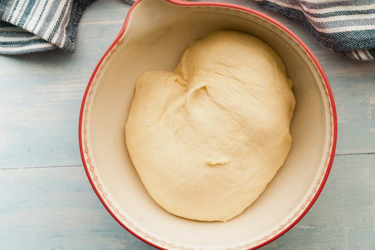 smooth dough risen in bowl.