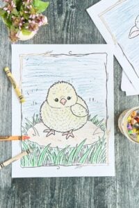 colored in baby chick page with crayons scattered.