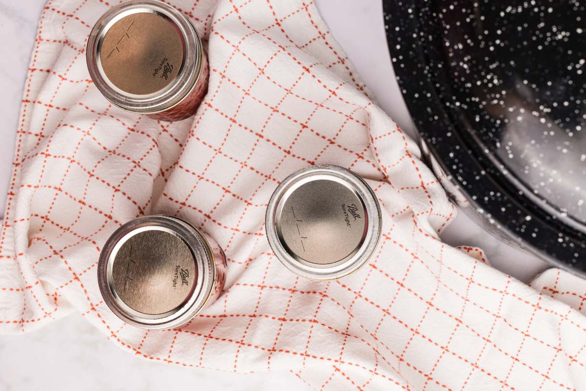 Three sealed jars of tomato paste cooling on a towel.