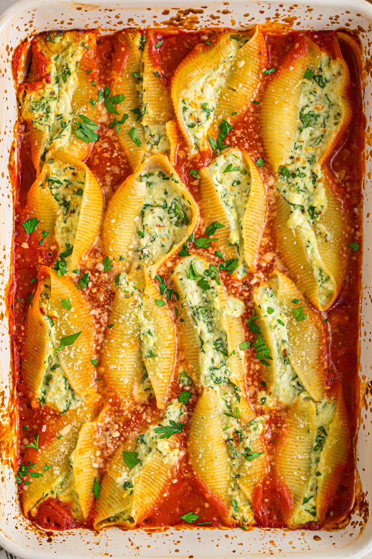 Baked stuffed shells in pan with sauce.