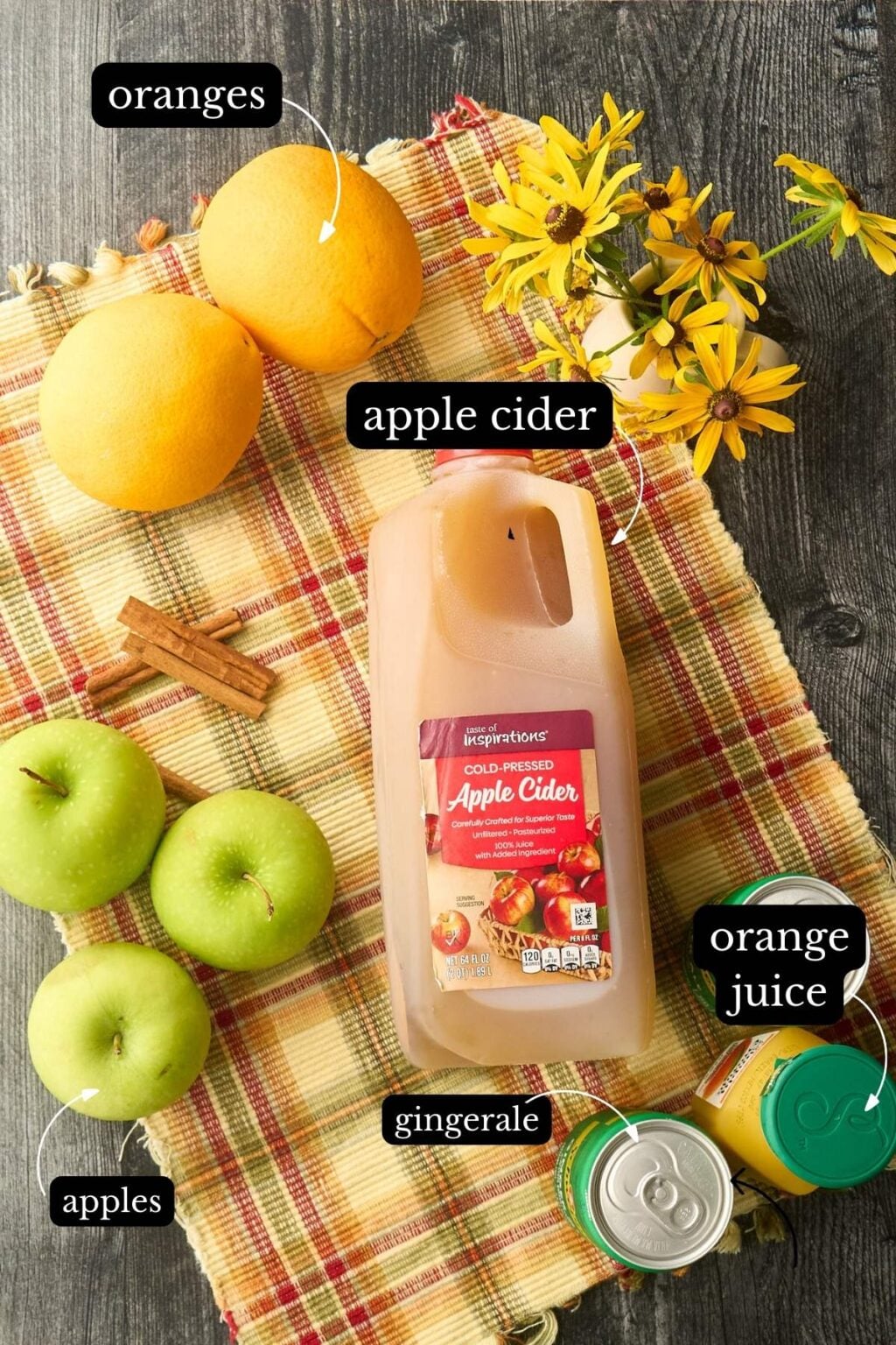 Cold Apple Cider Punch