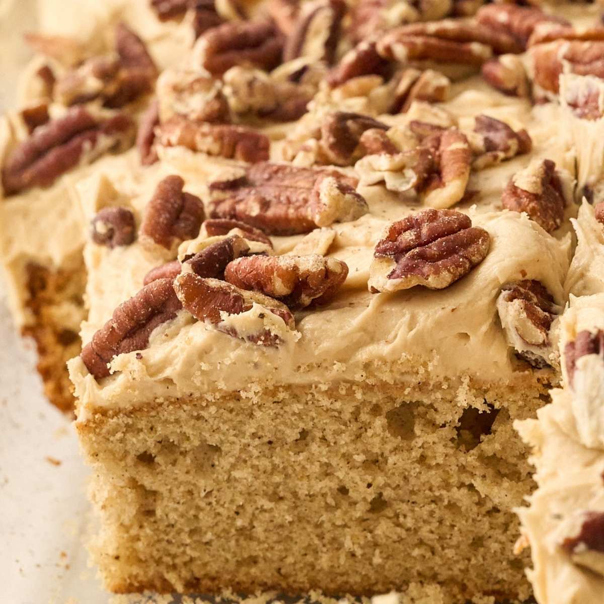 cut spice cake in pan.