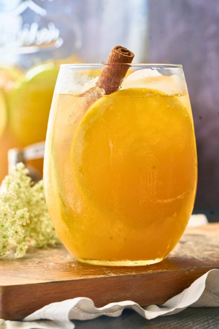 Close-up of autumn punch with orange slices, apple slices, and cinnamon stick.
