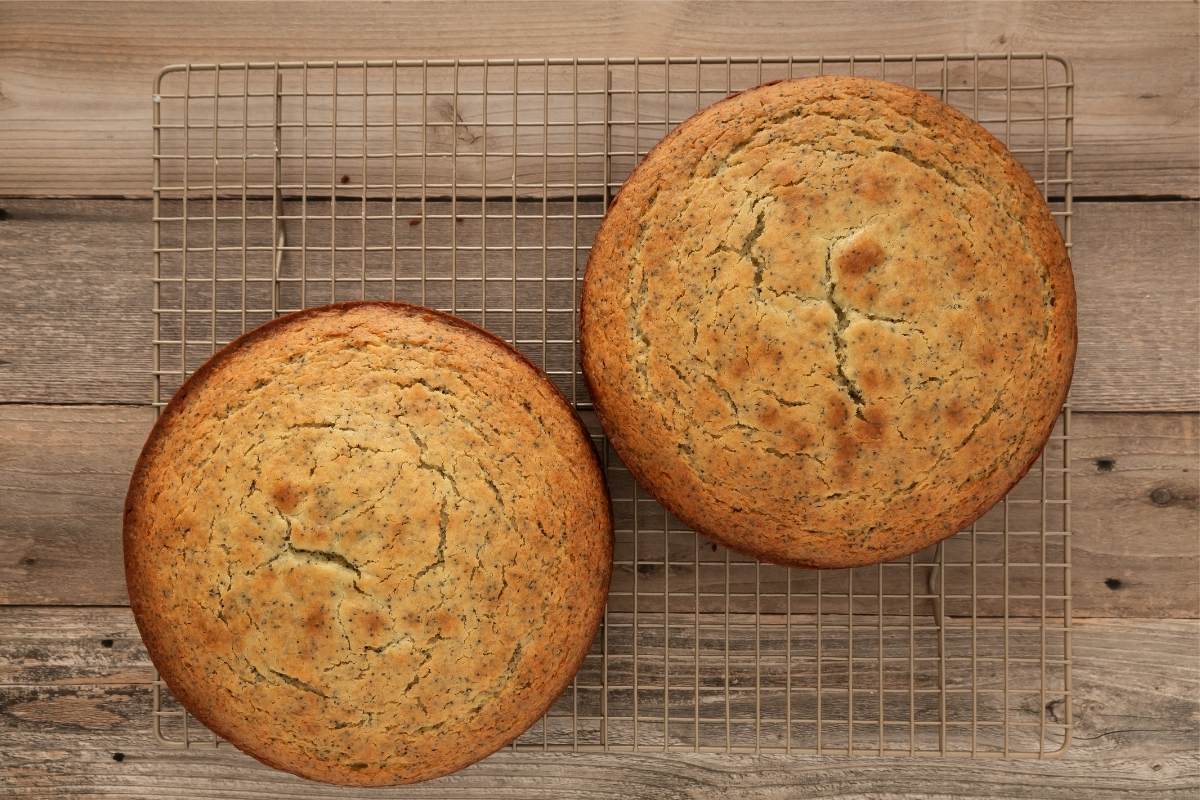 Two round baked cake layers cooling on a wire rack.