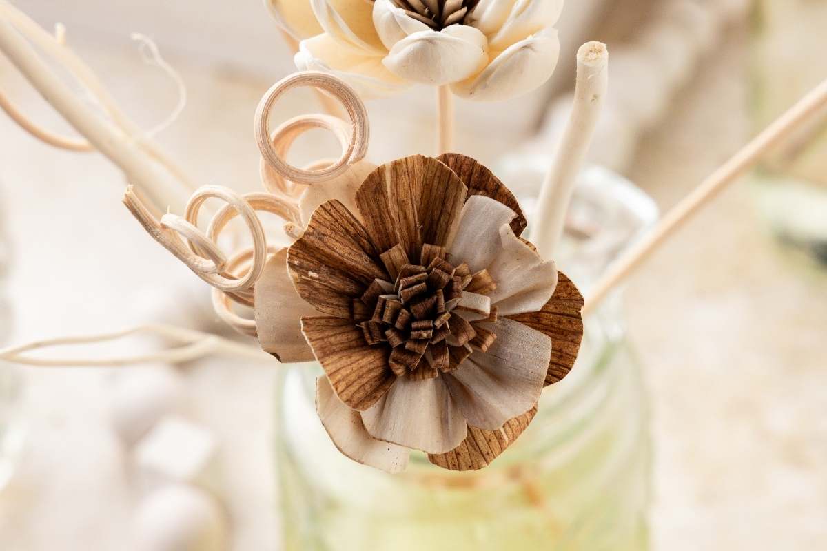 Brown and cream sola wood flowers on rattan reeds resting in a glass diffuser bottle filled with oil.