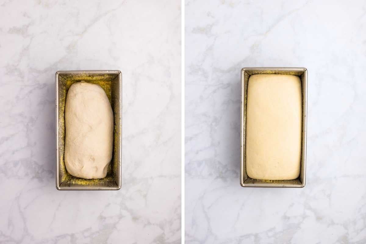 Side-by-side comparison of bread dough in a metal loaf pan before and after rising.