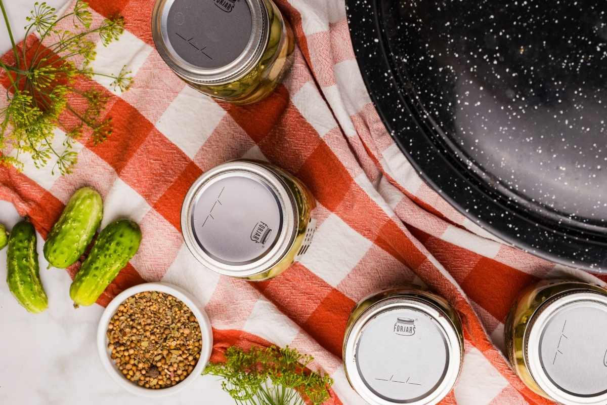 Sealed jars of dill pickles cooling on a red checkered towel beside fresh cucumbers, dill, and pickling spices.