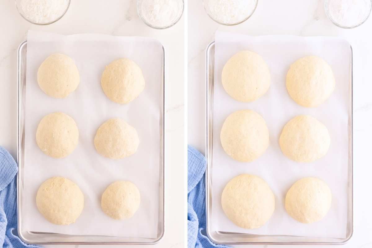 Six shaped dough balls arranged on a parchment-lined baking sheet, shown before and after rising.