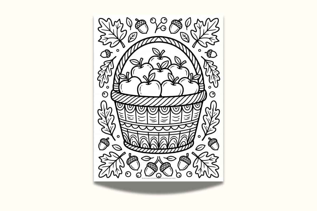 The apple basket